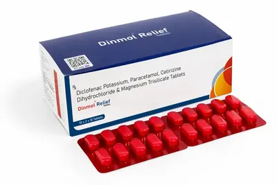 DINMOL RELIEF Tablet